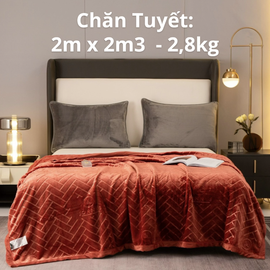 Bee Home - Chuyên chăn ga gối decor